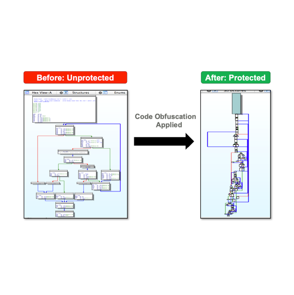 Obfuscation-Advanced Techniques